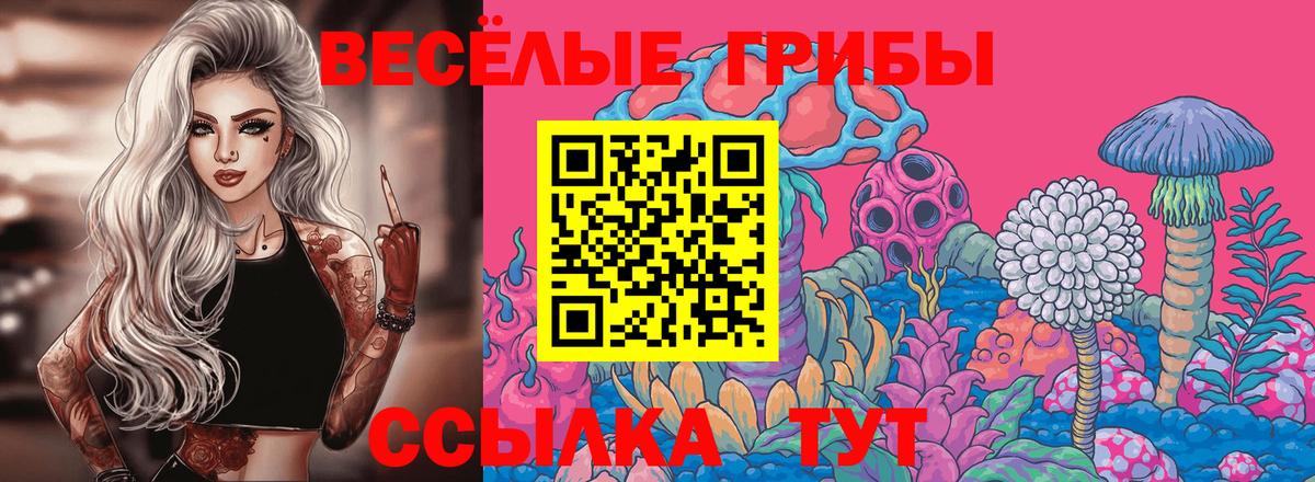 Псилоцибиновые грибы ЛСД  дарнет шоп  Кандалакша  Вход с VPN 